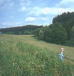 Rodltal, letzte Mahd